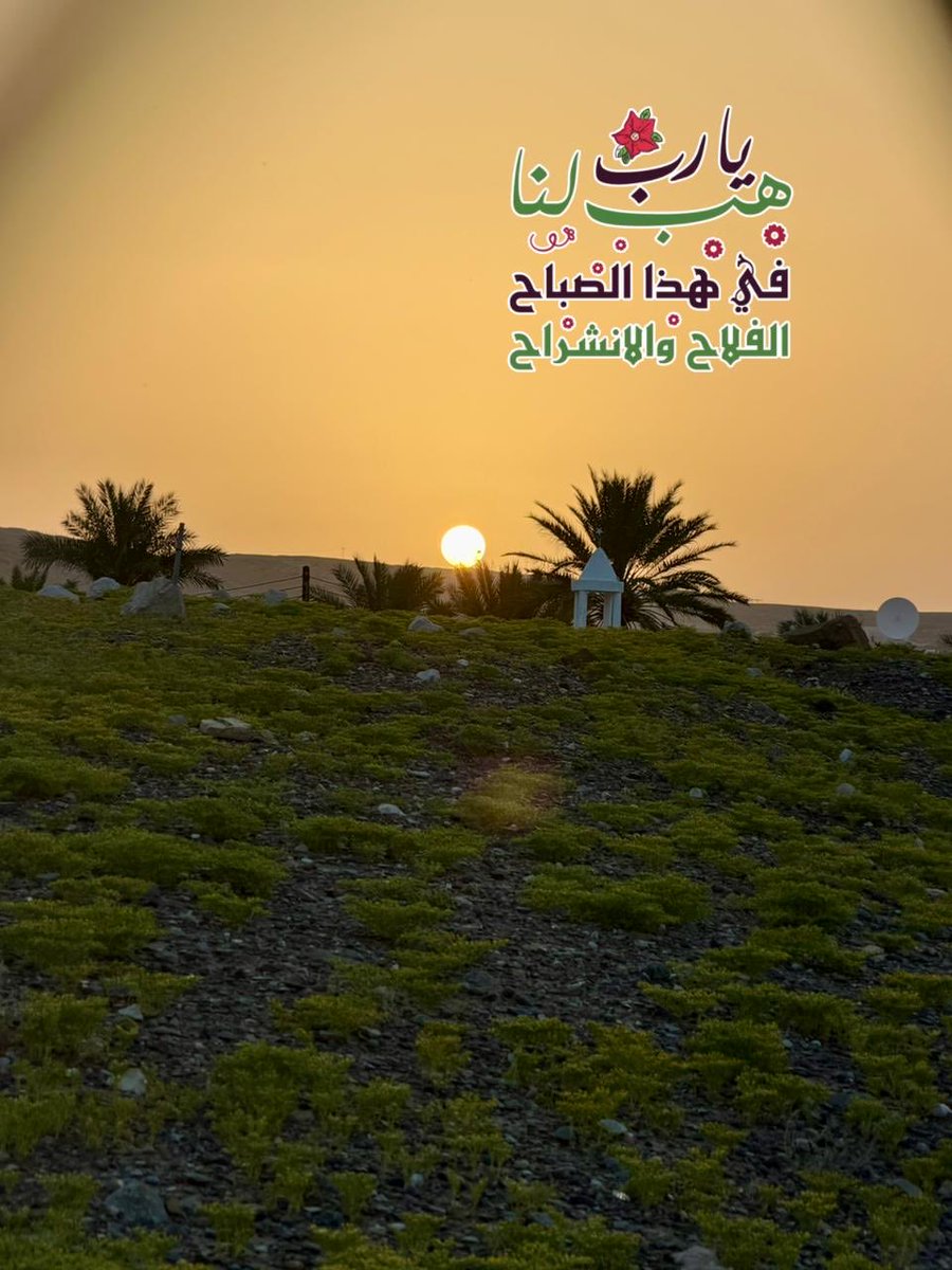 💫 سلطان tweet media