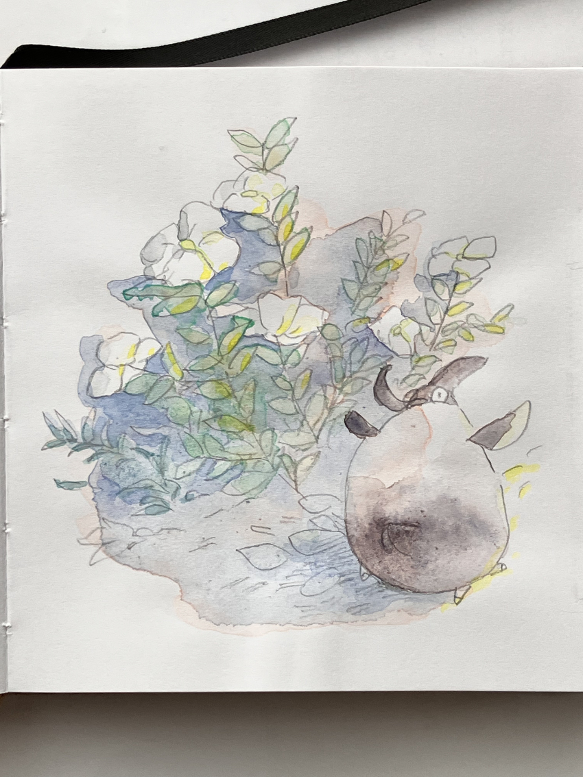 おこめ１４ tweet media