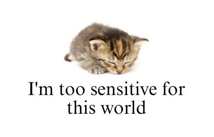 𓈒 ࣪ ˖ tweet media