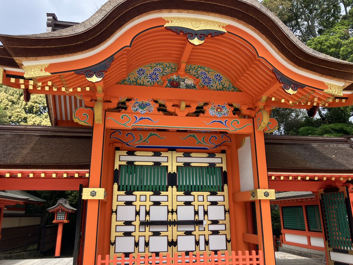 ノリー tweet media