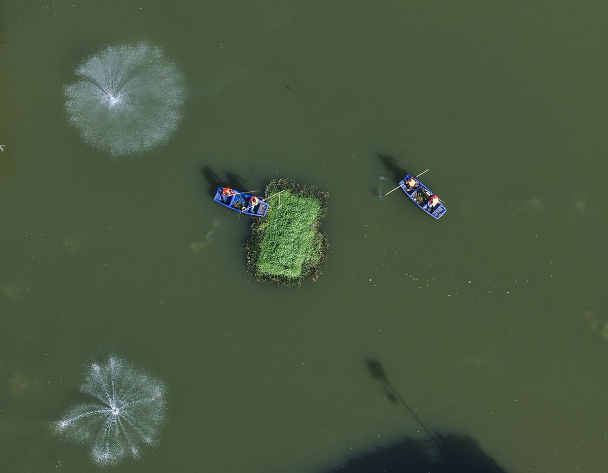 ChinaDaily's tweet image. #China plans to strengthen #water body protection by establishing a regular census system for rivers and lakes and introducing a target-based management system to ensure flows that meet basic ecological needs. #environment bit.ly/4uyEwMz
