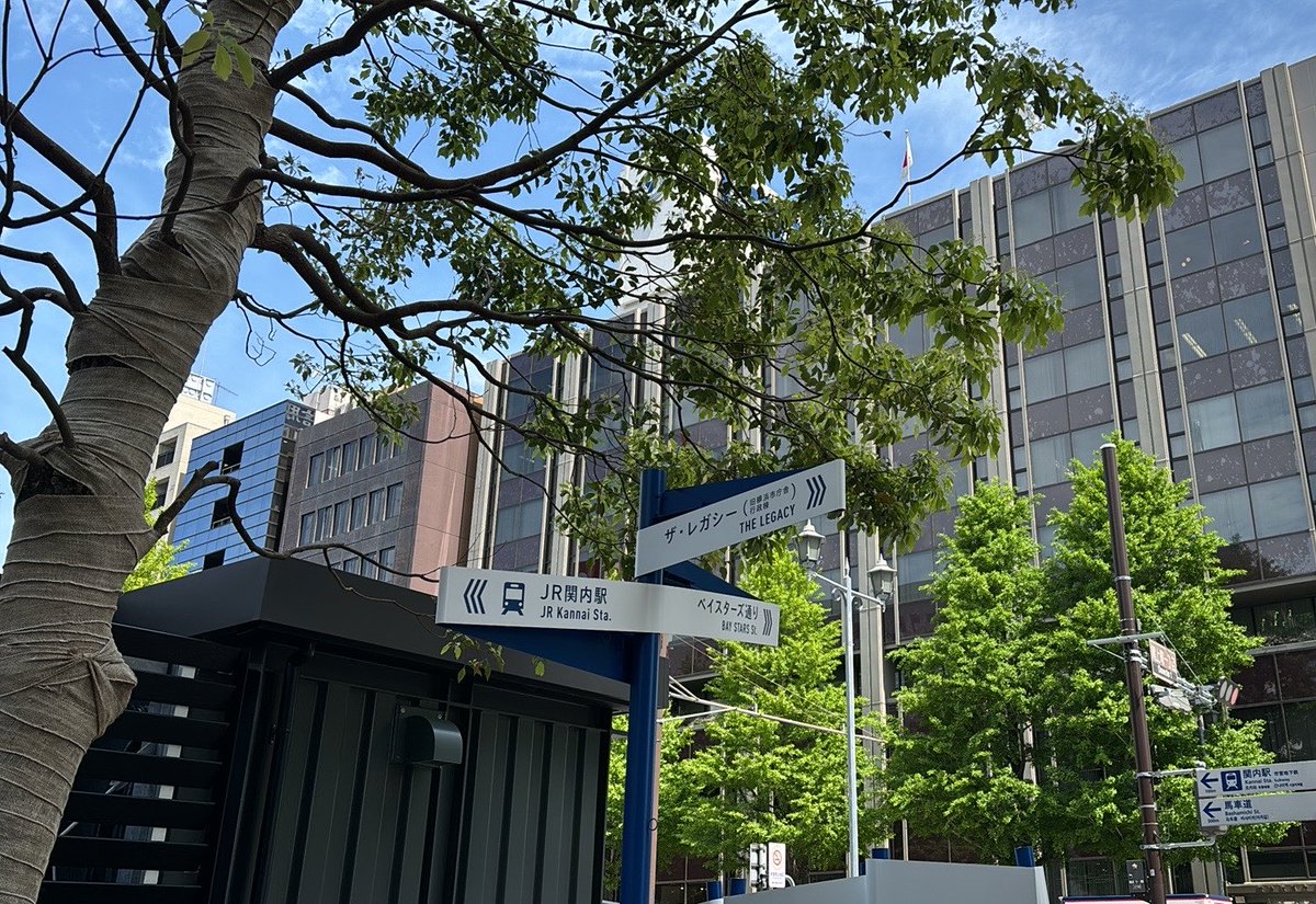 LittleRing's tweet image. #ヨコハマ

#あたらしい風景🌿

#ミニ街あるき👟

今日は…

#第10回みなまき一箱古本市📚
対面mtg中😌

#第10回記念企画📚