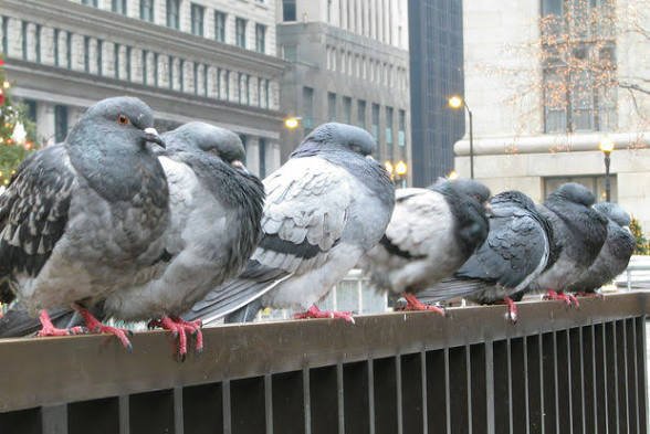 no̵̮͈̟̞͚͗̏b̶̢̭͈͖̥͓̹͈͉̔̋̎̽̑ͅo̸̞͉̿͛̐̓̌̑̒͆dy tweet media