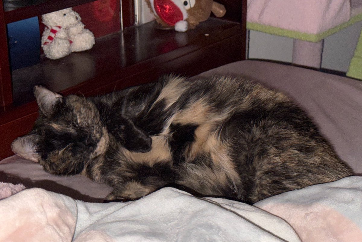 via 🪾 tweet media