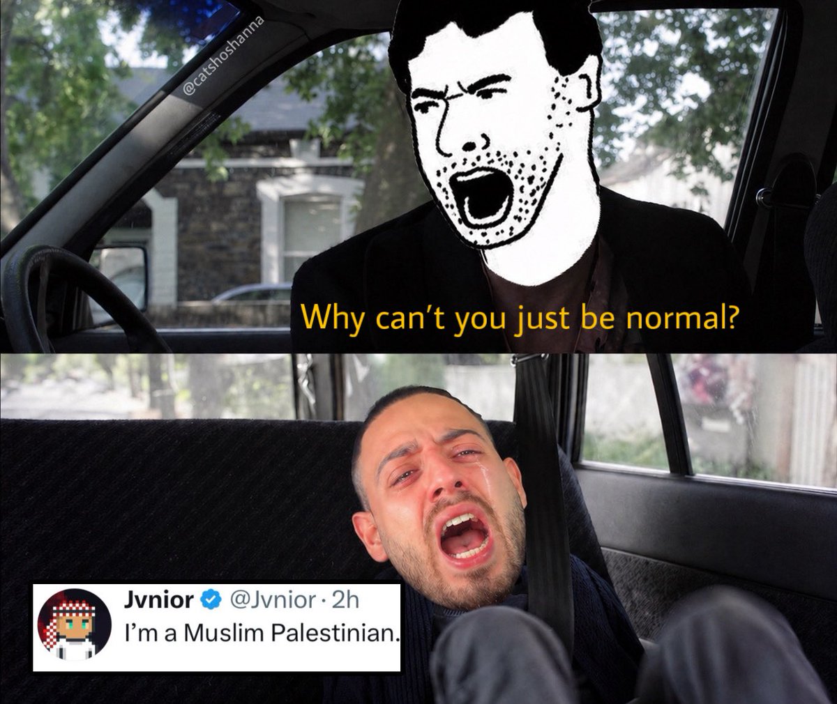 Caт Bee 🪶 tweet media