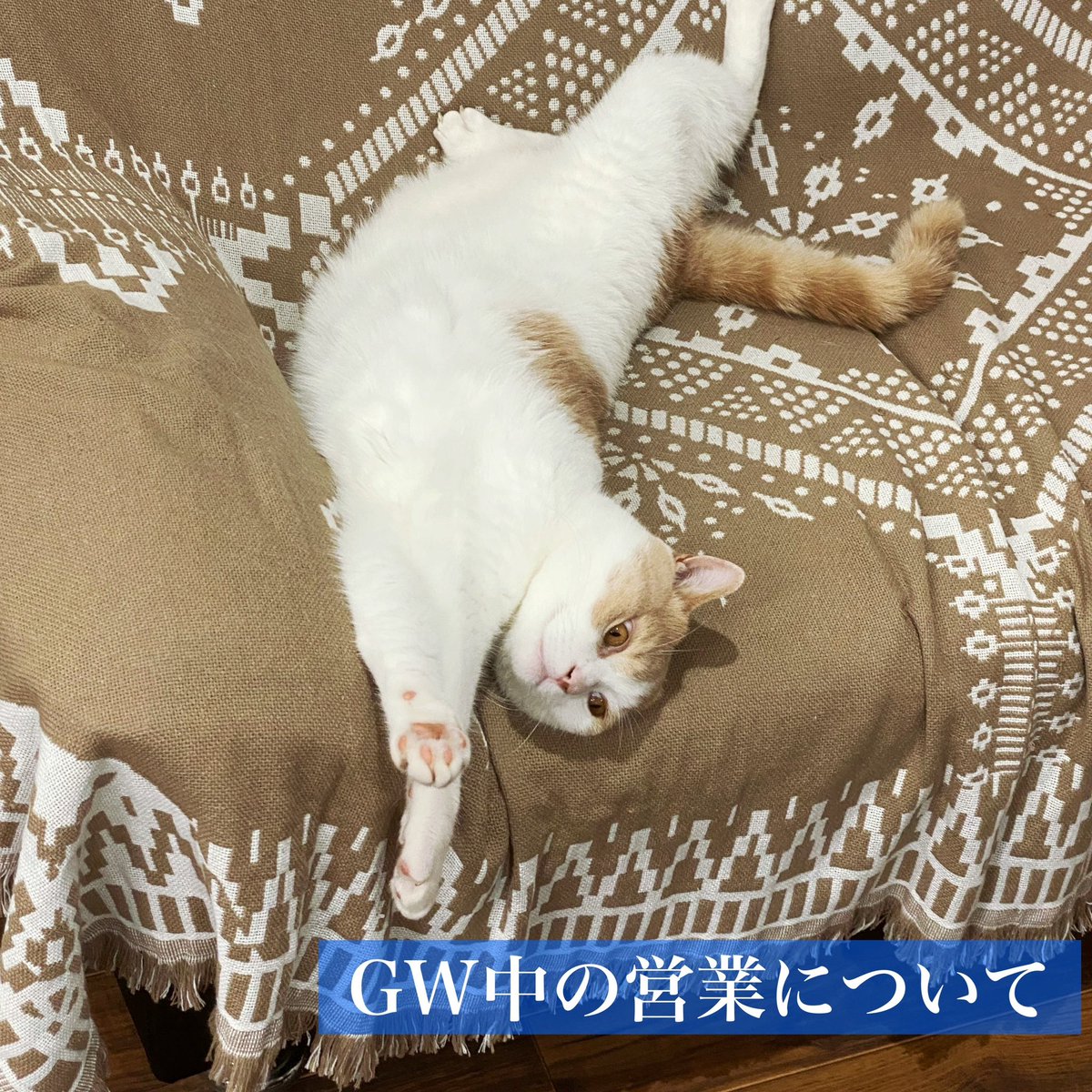 山形の地酒専門店 木川屋 tweet media