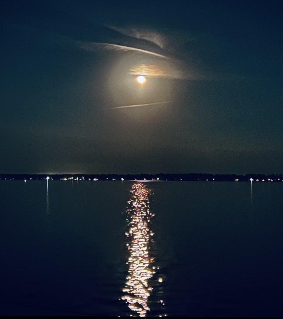 stardust1199's tweet image. Show me moon light on the water.