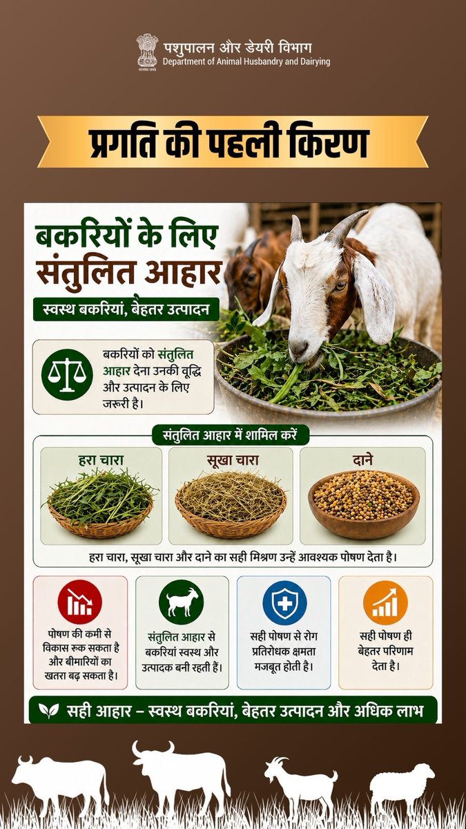 Dept_of_AHD's tweet image. प्रगति की पहली किरण: स्वस्थ बकरियां, समृद्ध किसान! 

पशुपालन में उन्नति तभी संभव है जब हमारे पशु स्वस्थ हों। संतुलित आहार न केवल बीमारियों के खतरे को कम करता है, बल्कि आपके व्यवसाय को नई ऊंचाइयों पर ले जाता है। आज ही सही पोषण अपनाएं और अपने पशुधन को खुशहाल बनाएं।

#Progress
