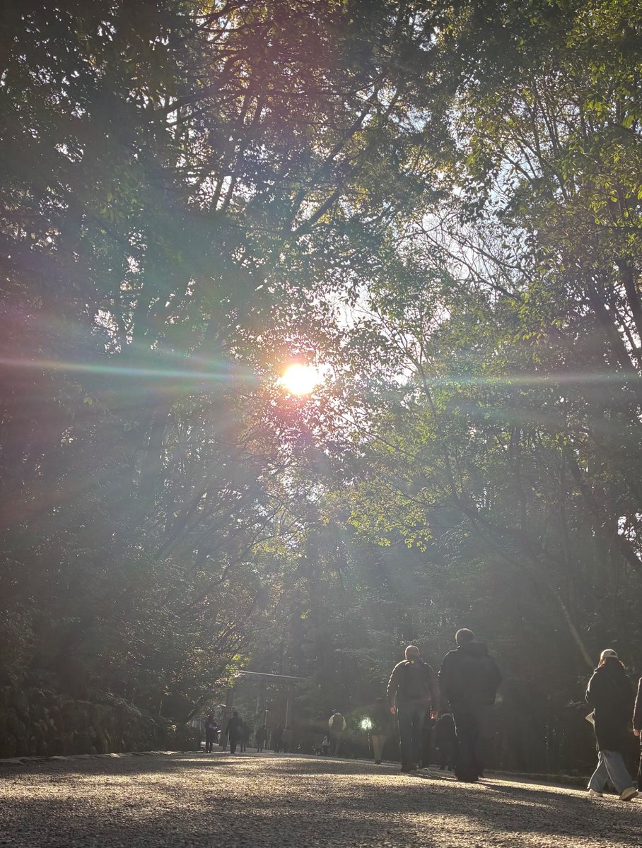 たそがれ＋ tweet media