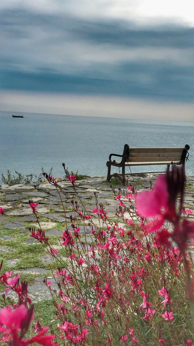 💫𝑆̡𝑎̡𝑚̡𝑎̡ tweet media