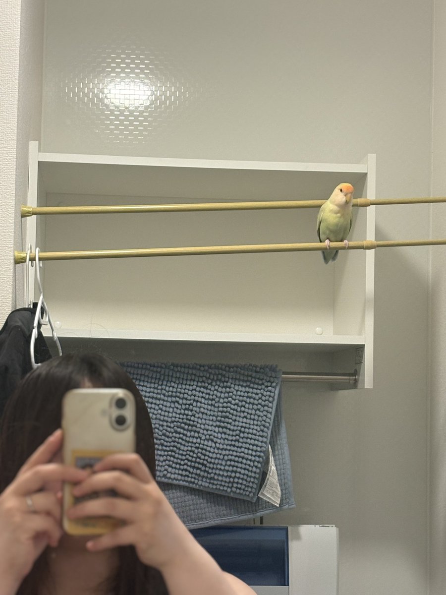 (元)院長 tweet media