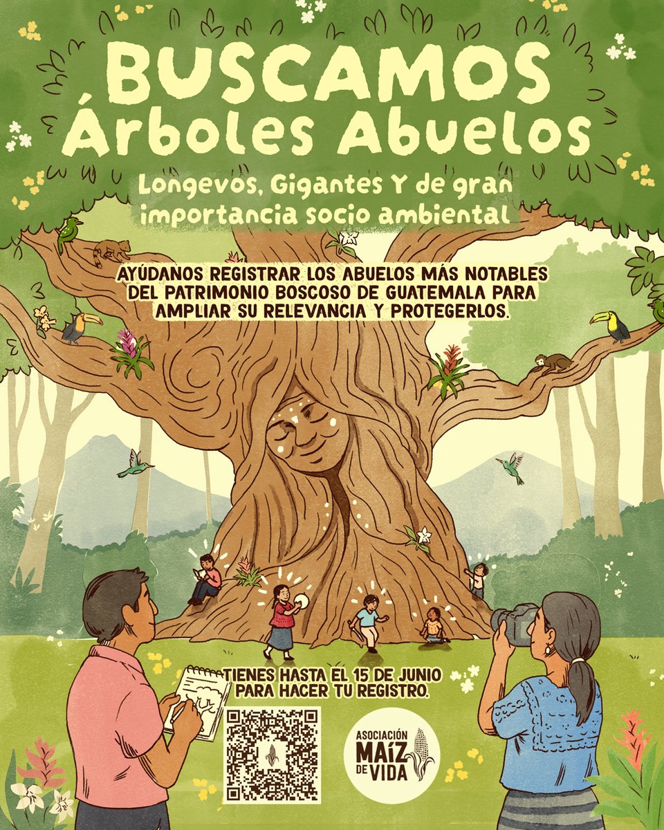Maíz de Vida tweet media