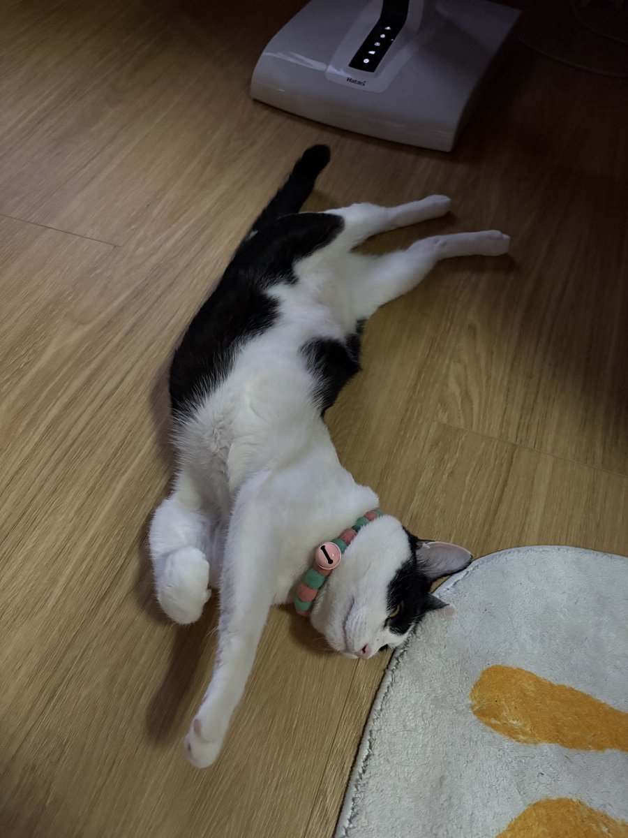 💖• 쩌쩌 •🧞‍♀️ tweet media