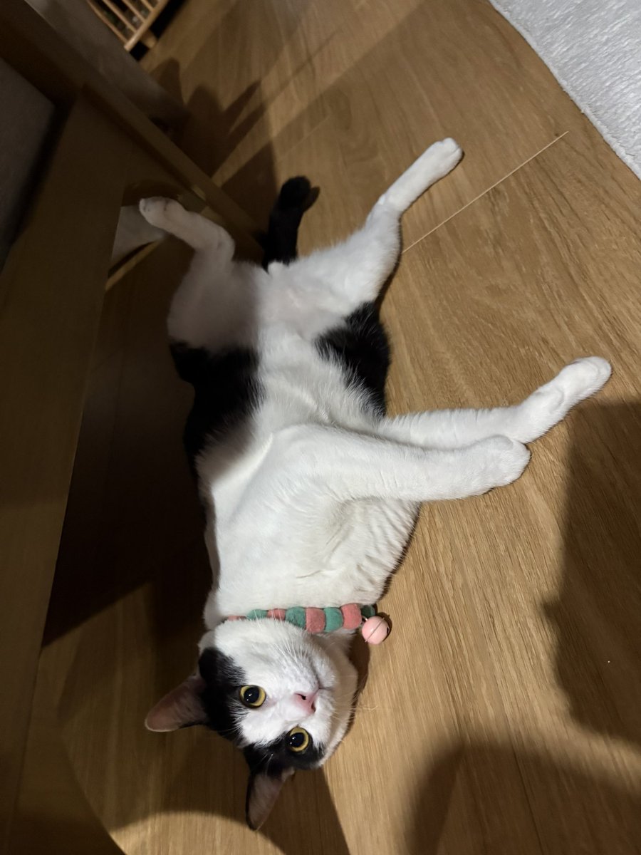 💖• 쩌쩌 •🧞‍♀️ tweet media