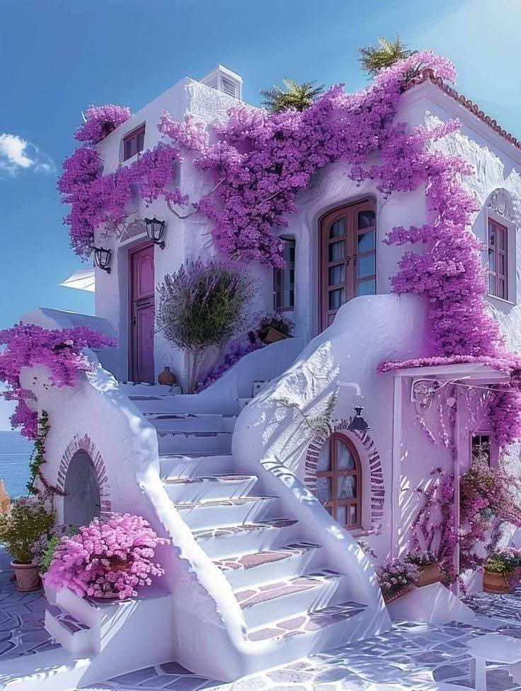 🍒🥀🦋simply_Red🦋🥀🍒 tweet media