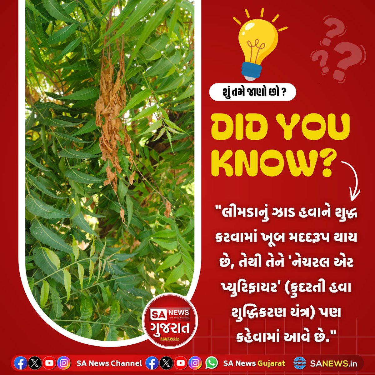 SANewsGujarat's tweet image. શું તમે જાણો છો?
DID YOU KNOW!
#SANewsGujarat #SANews #Facts #GK #QUIZ #POLL #Generalscience #Factfull #viral  #Viralfacts #TodayFacts #GeneralFacts
