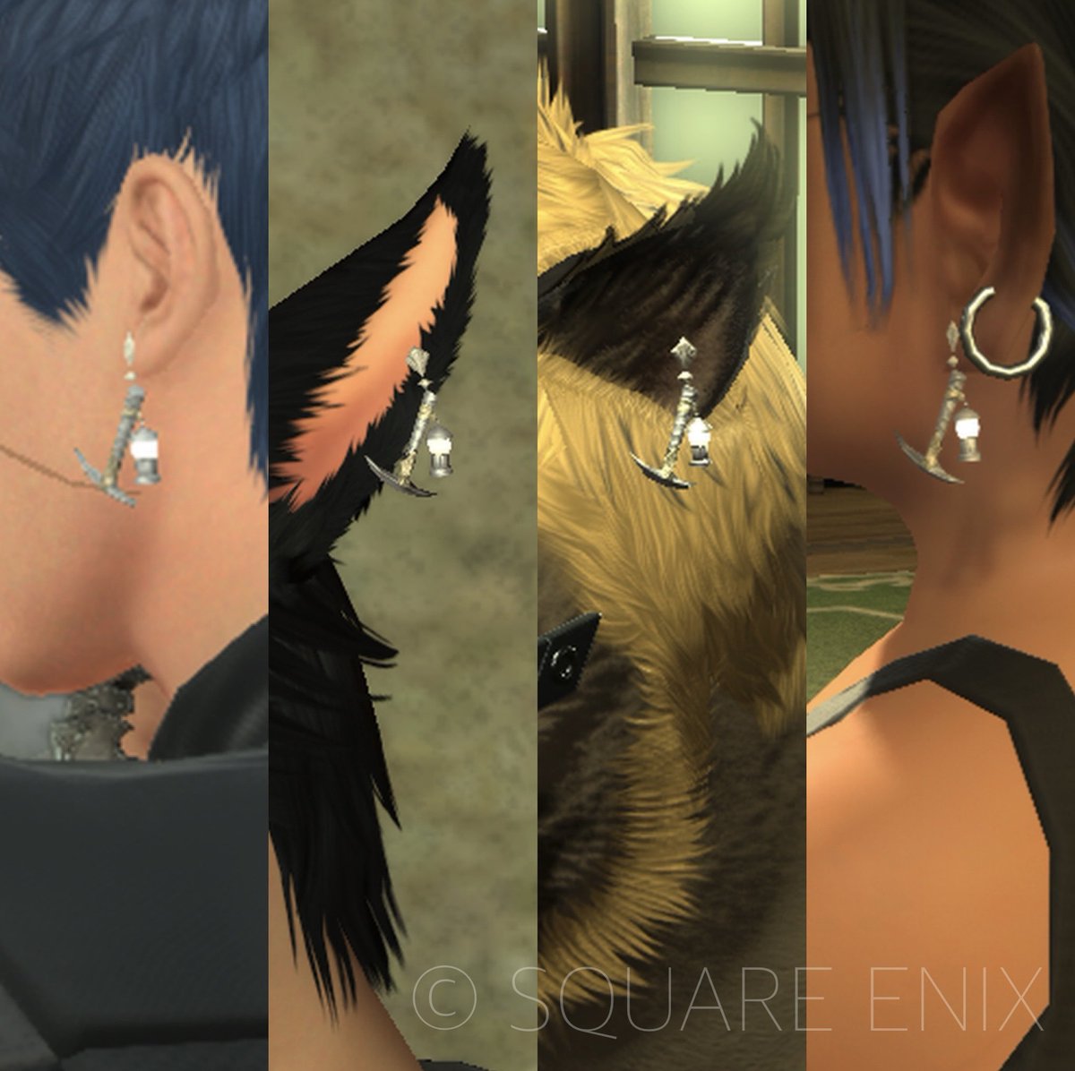 Daizu ダイズくん tweet media