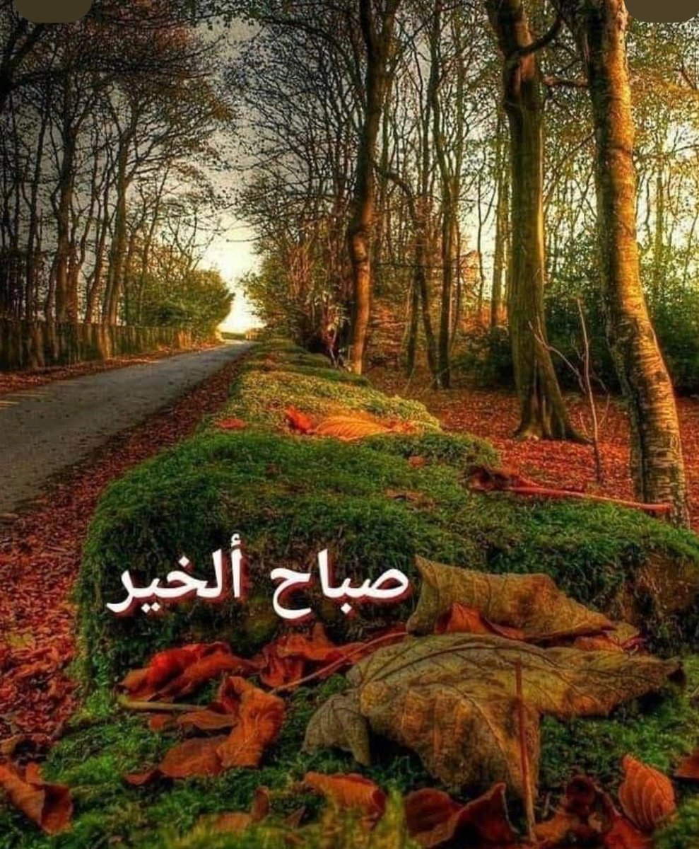 خليل جاسم العيسى الخليل ،،،حساب مؤقت2 tweet media