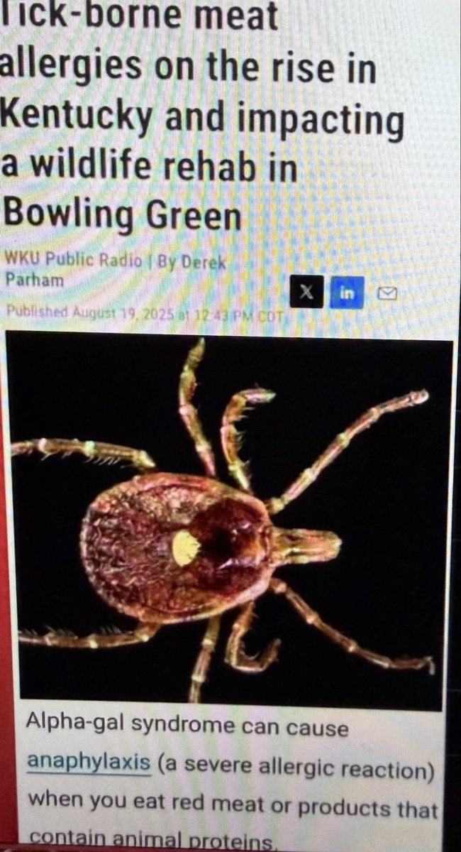 Palethinker tweet media