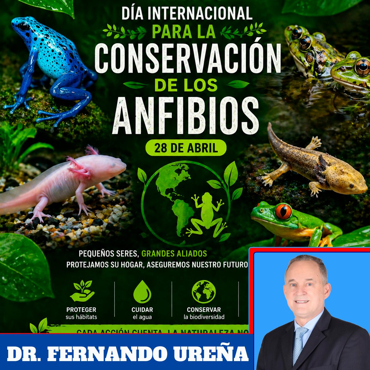 En el Día Internacional para la Conservación de los Anfibios, renovamos nuestro compromiso con la protección de la biodiversidad y los ecosistemas que sostienen la vida. Cuidar a los anfibios es preservar el equilibrio de la naturaleza y asegurar un futuro más sostenible.