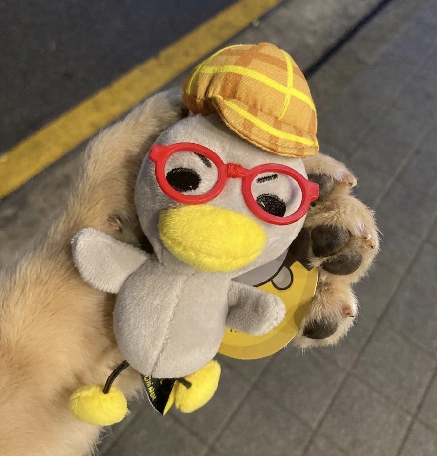 동녘화 tweet media