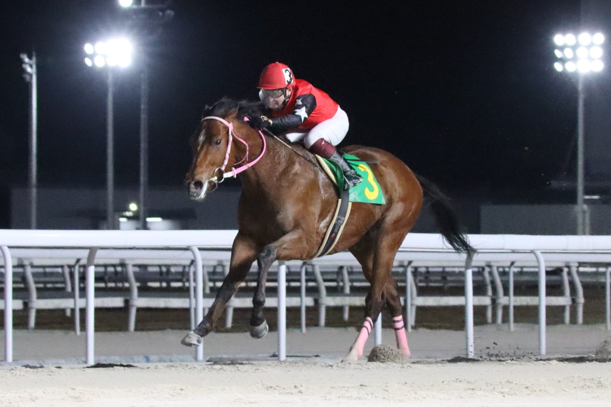4/29 出走情報🐎】 本日、笠松競馬場で行われる #第8回飛山濃水杯 に