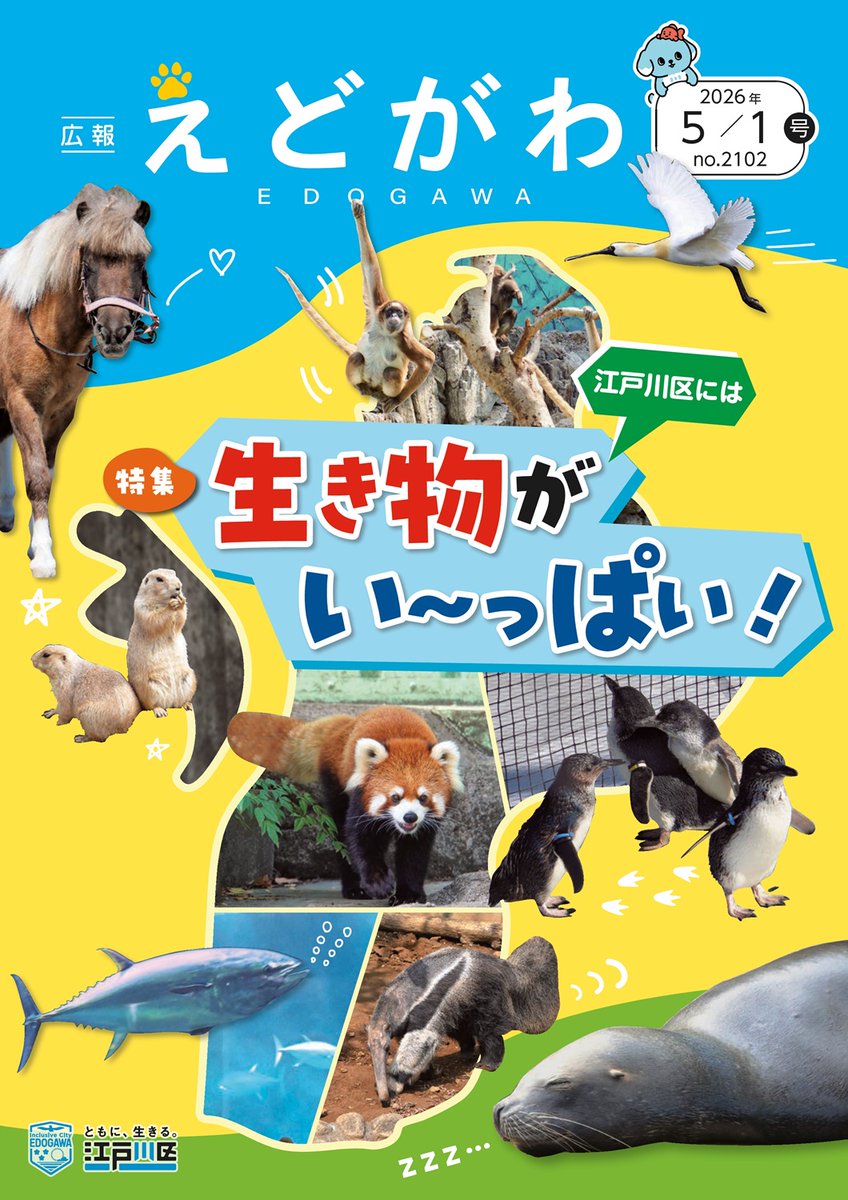 edogawa_city's tweet photo. ◆『#広報えどがわ』(5月1日号)◆
特集は「江戸川区には生き物がい～っぱい！」その他「”資源とごみの分け方・出し方”パンフレットをお配りします」「区民交通傷害保険の申し込みを受け付け中」「”ふれあい農園”でジャガイモ・枝豆の収穫体験！」などの記事を掲載しています。
https://t.co/GYYl3fYYa9 https://t.co/7rsyMJfYZ8