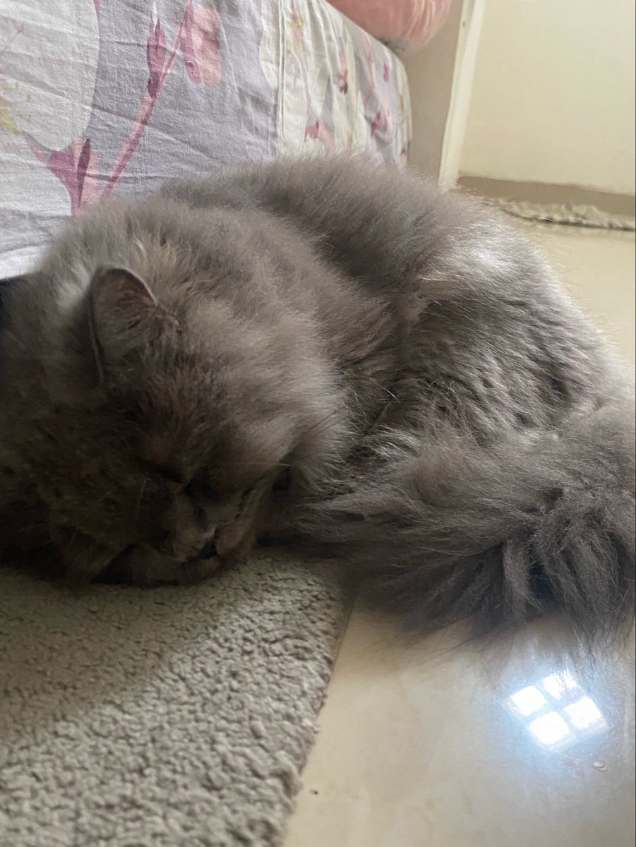 𓏲 gin 𓍯 tweet media