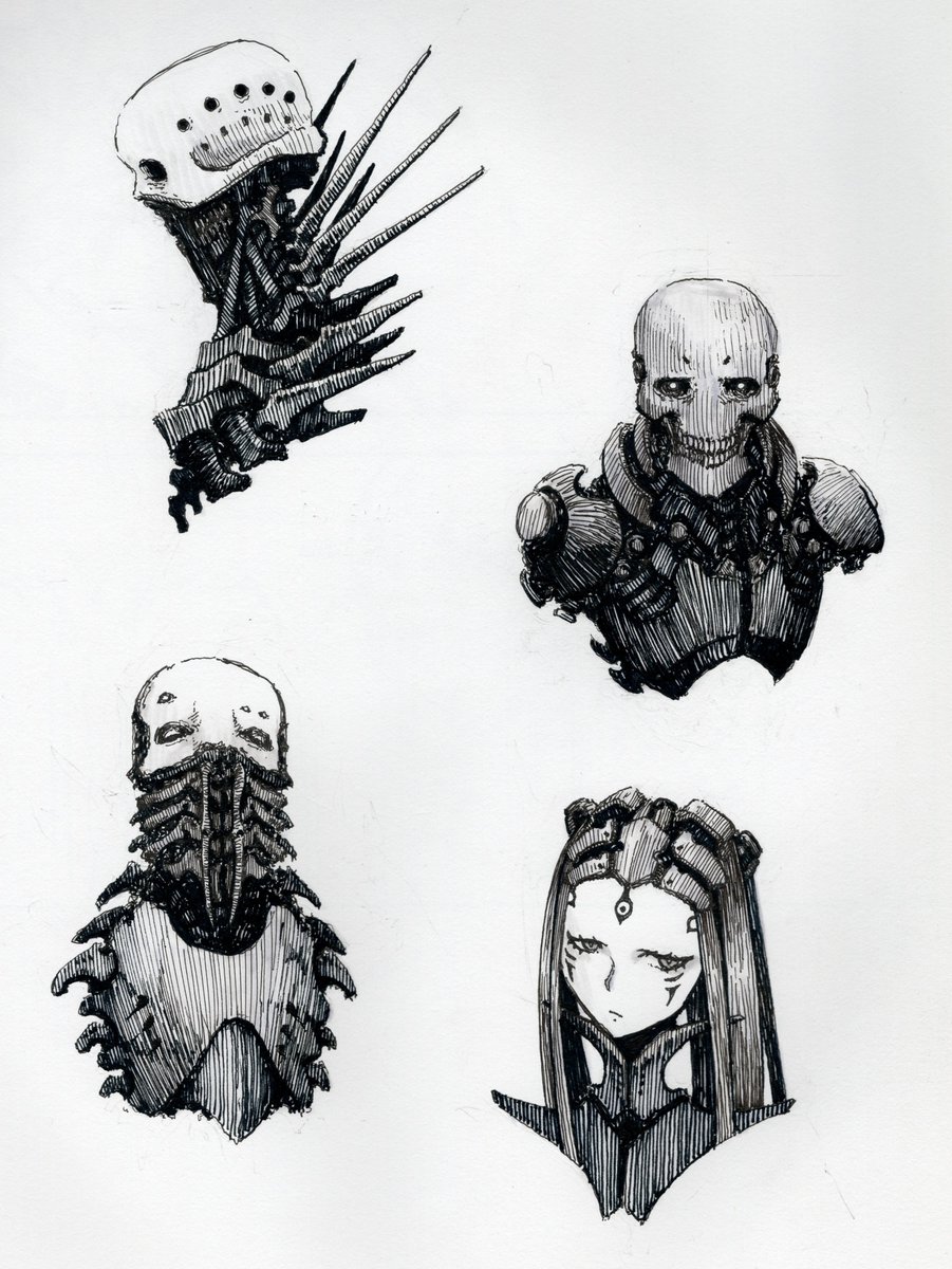 VoxBelicosa tweet media