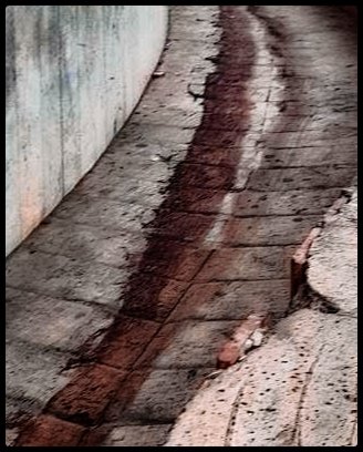 HiwaCanva tweet media