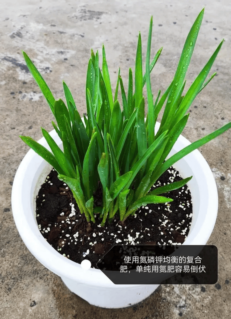 Stephan Beit tweet media