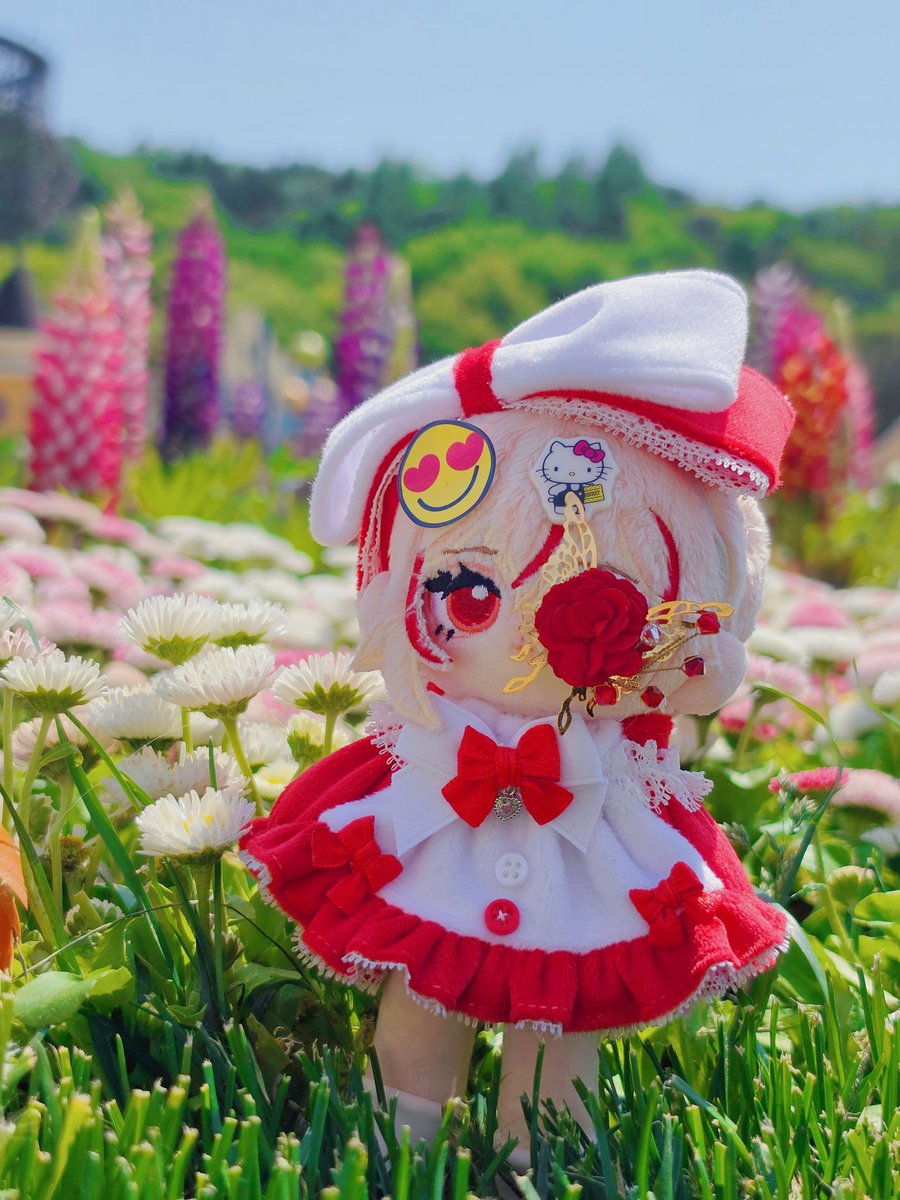 🧸𝗦𝗟𝗢𝗪 달리아 tweet media