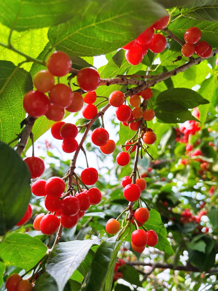 Андрей Измайлов tweet media