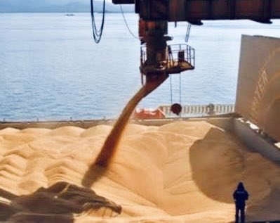 VADYM 🇺🇦🌐🇮🇹 tweet media