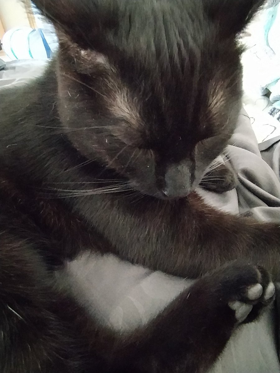 sasuke uchiha of shedtwt ⚠︎ tweet media