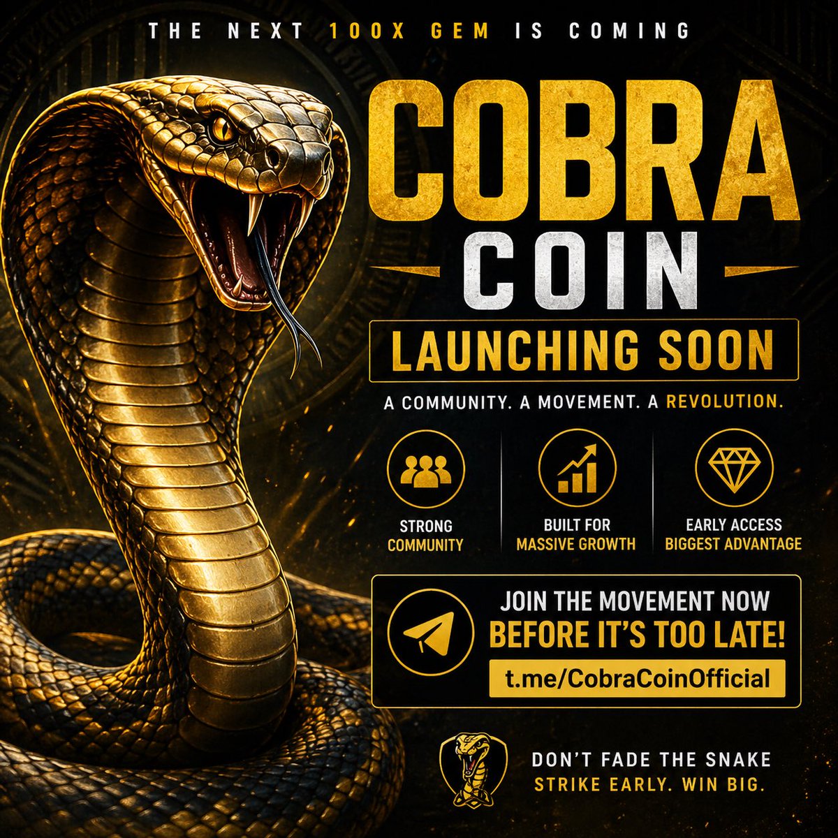 Florida Foxy tweet media