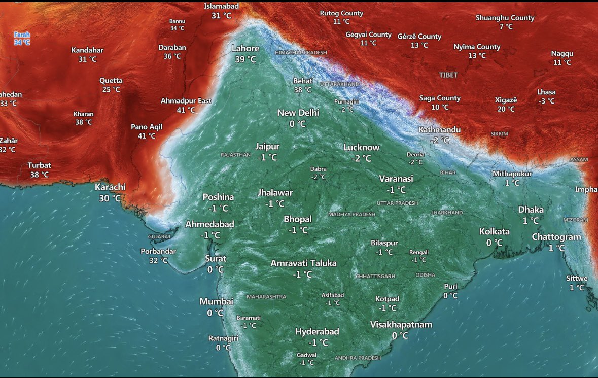 Adult Humour tweet media