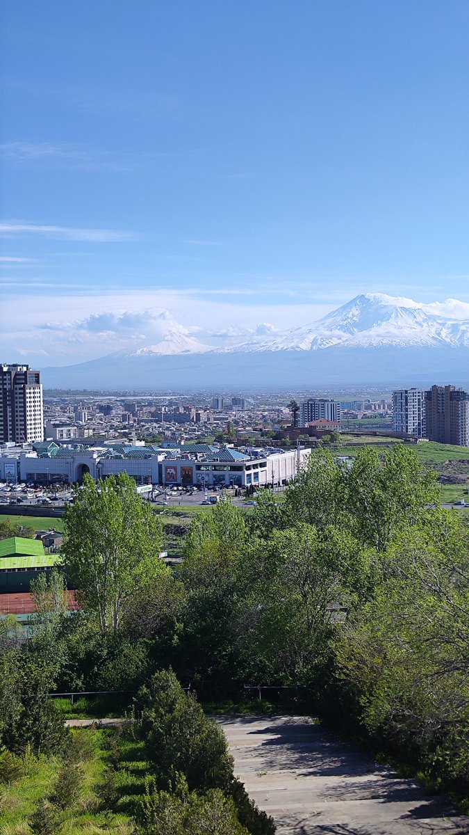 Serdar Gündoğdu tweet media