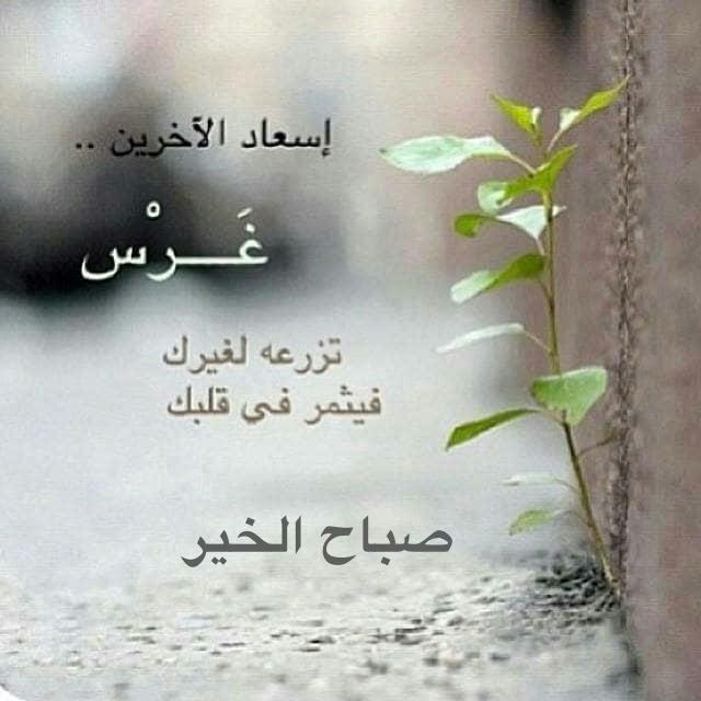mm🪴🩵محمد tweet media