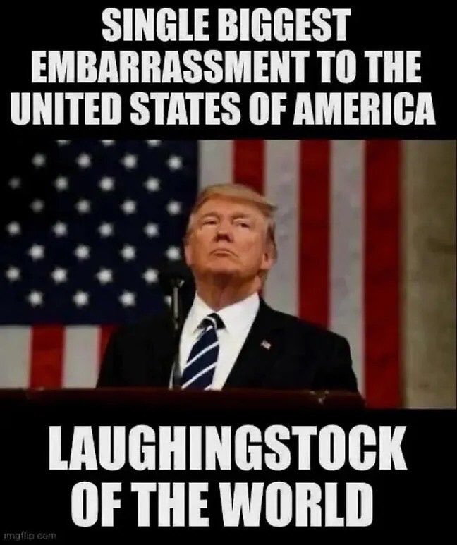 Stralyafella tweet media