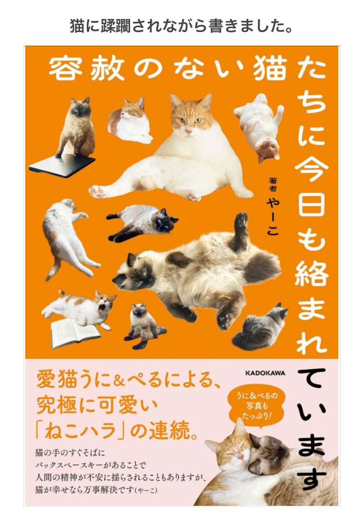 やーこ (@yalalalalalala) / Posts / X
