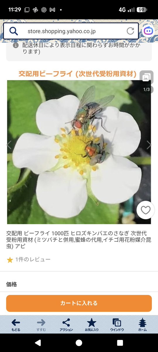 でらぁそ®️ tweet media