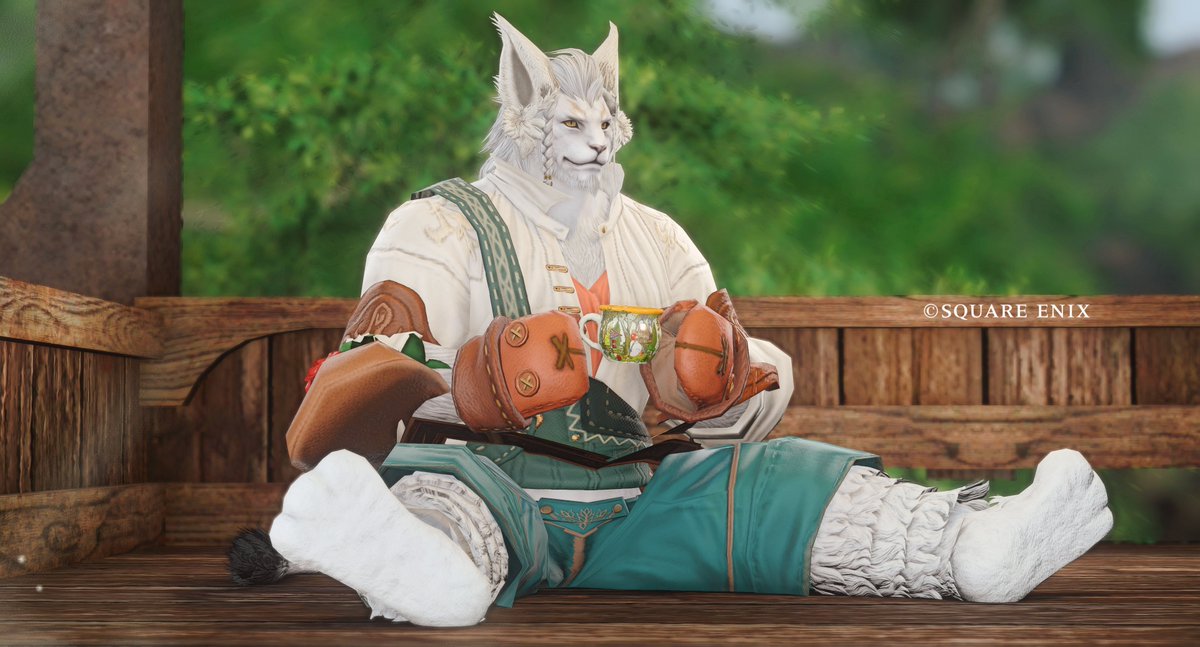 Sol Leone tweet media