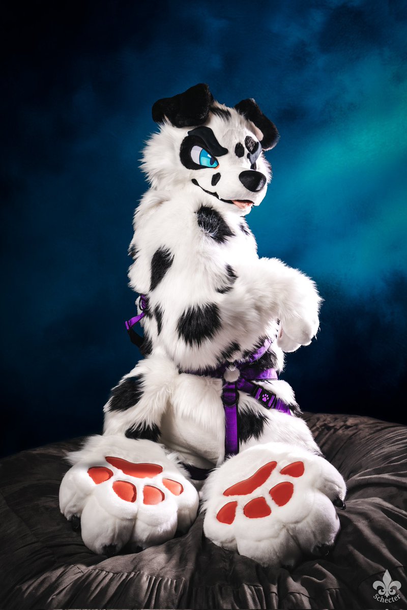 Avery | Finn of Dogtropolis tweet media