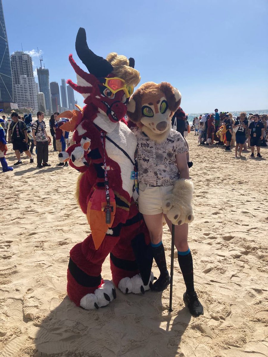 Danadragoness's tweet photo. #furdu Beach photos!

@MarianaSauce4 @MutaSheep 

Photos from Dray! https://t.co/coYTTP0FJw