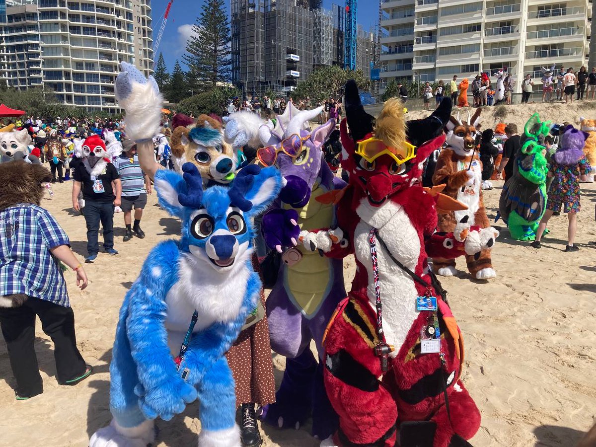 Danadragoness's tweet photo. #furdu Beach photos!

@MarianaSauce4 @MutaSheep 

Photos from Dray! https://t.co/coYTTP0FJw