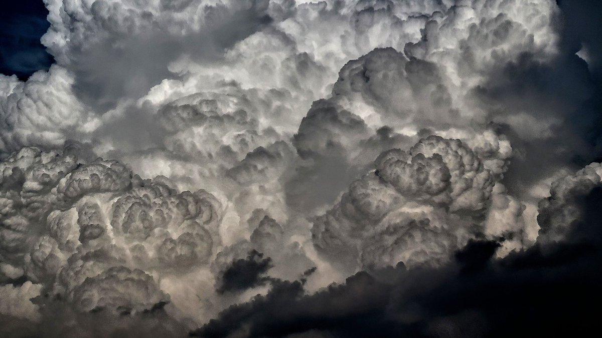 michael_wx_ tweet media