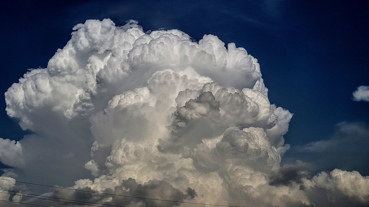 michael_wx_ tweet media