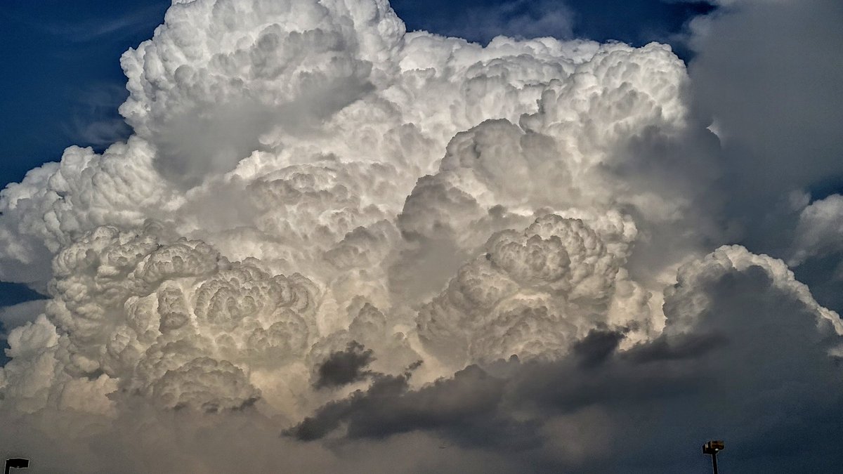 michael_wx_ tweet media