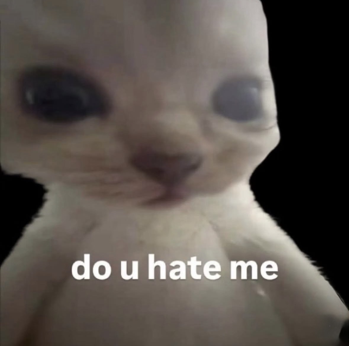 raccoon aesthetic. tweet media